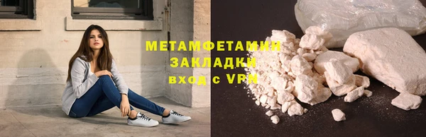 прущие грибы Нефтекумск
