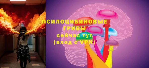 прущие грибы Нефтекумск