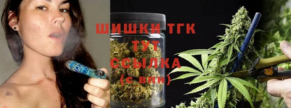 прущие грибы Нефтекумск