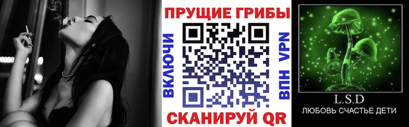 Купить  Слюдянка  Галлюциногенные грибы мухоморы 